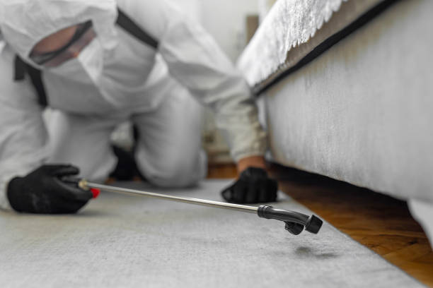 Professional Termite Control technician working in Cumberland Hill, RI