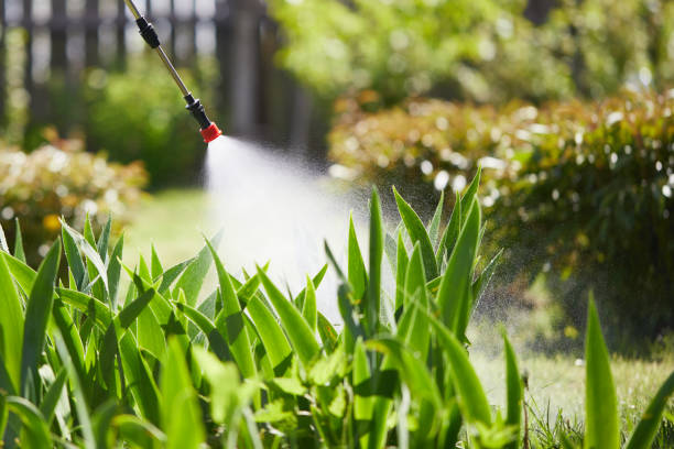 24/7 Emergency Termite Control experts in Cumberland Hill, RI