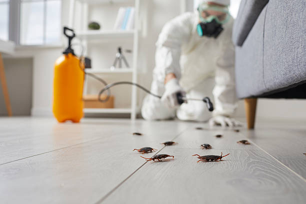 Trusted Emergency Pest Control service in Cumberland Hill, RI - Nex Pest Control