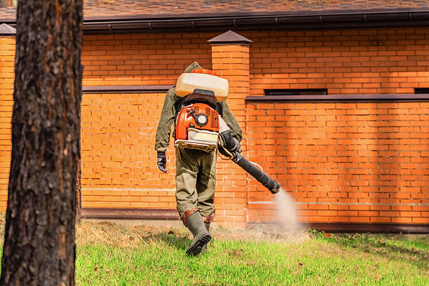 Trusted Termite Control service in Cumberland Hill, RI - Nex Pest Control